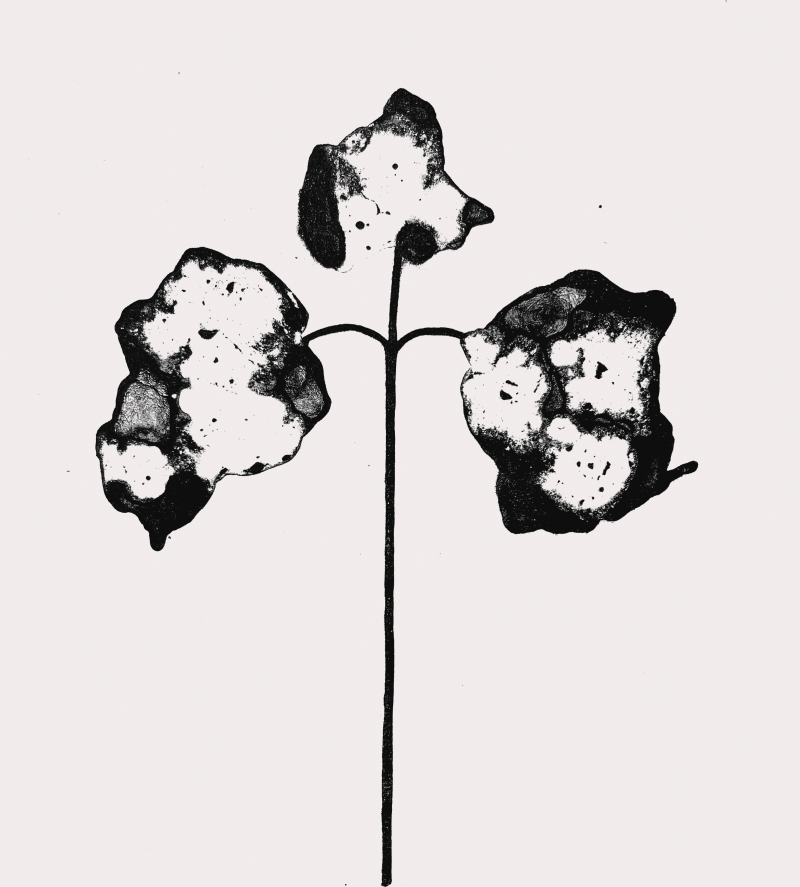 Flower 4