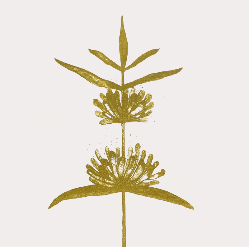 Flo 1 yellow