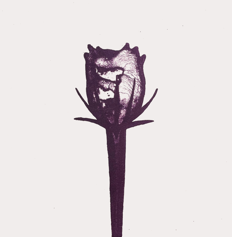 Flo 2 purple