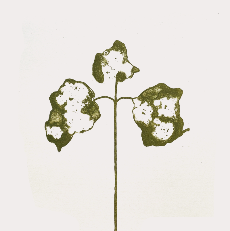 Flo 4 green