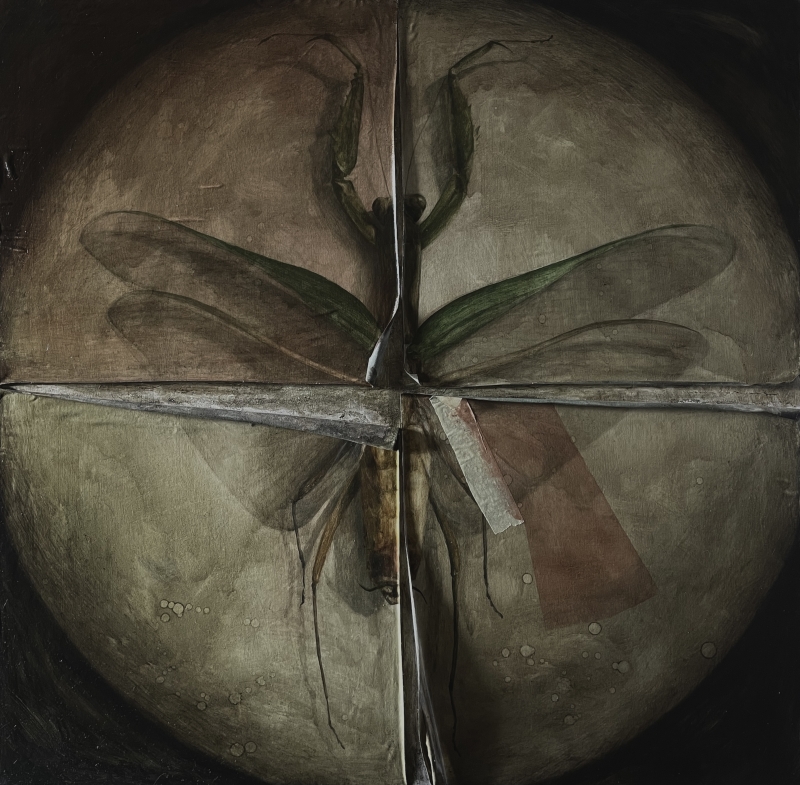Mantis