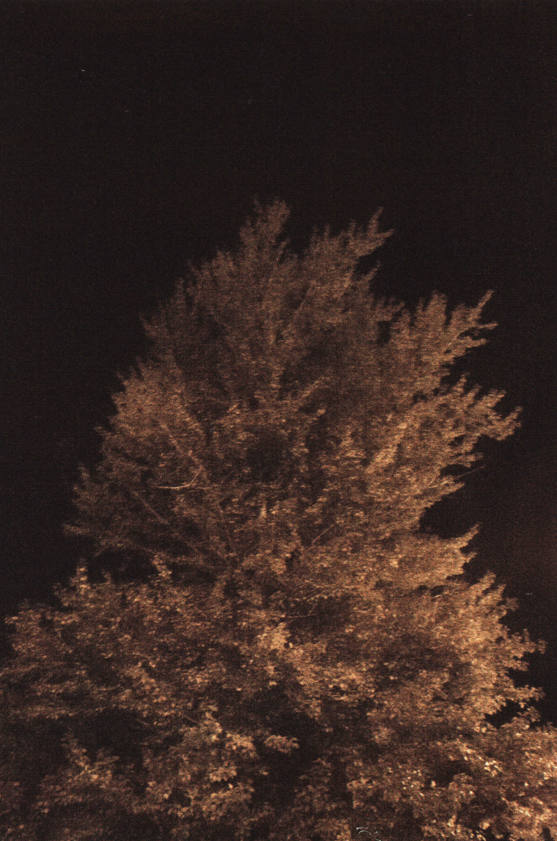 Буря всередині