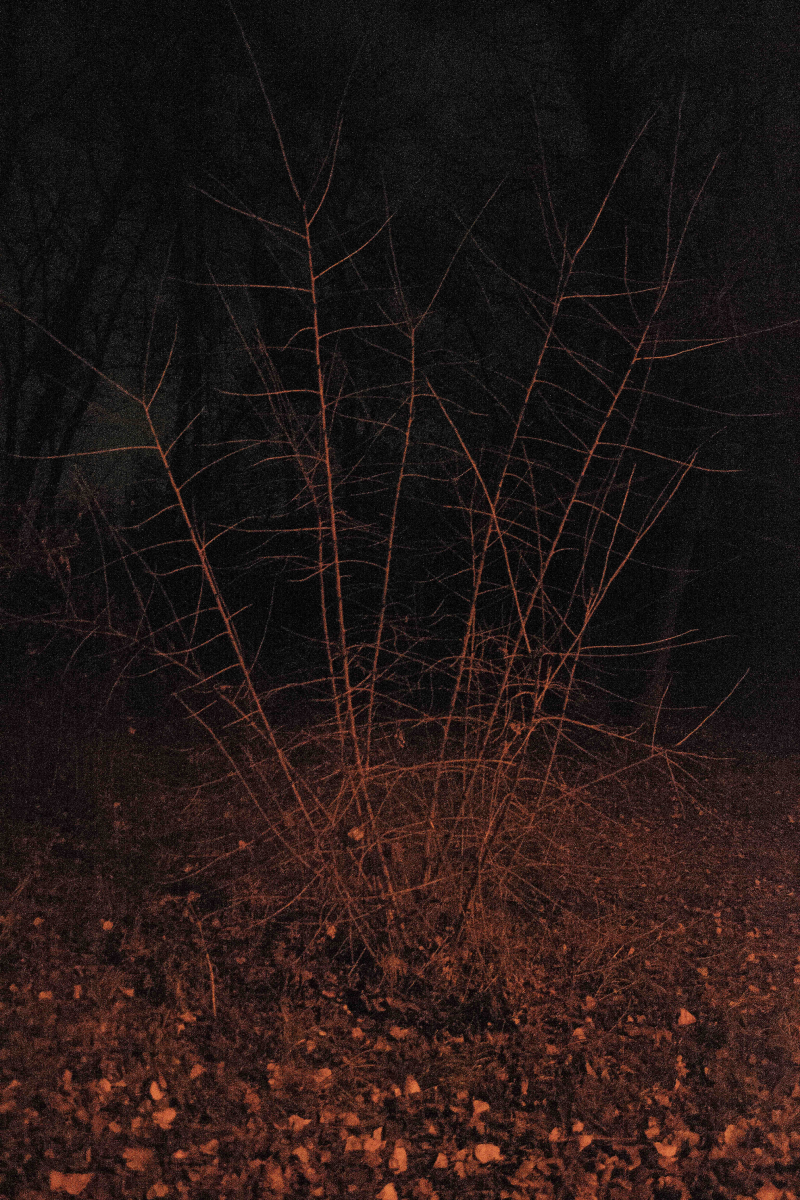 Клубок відчаю