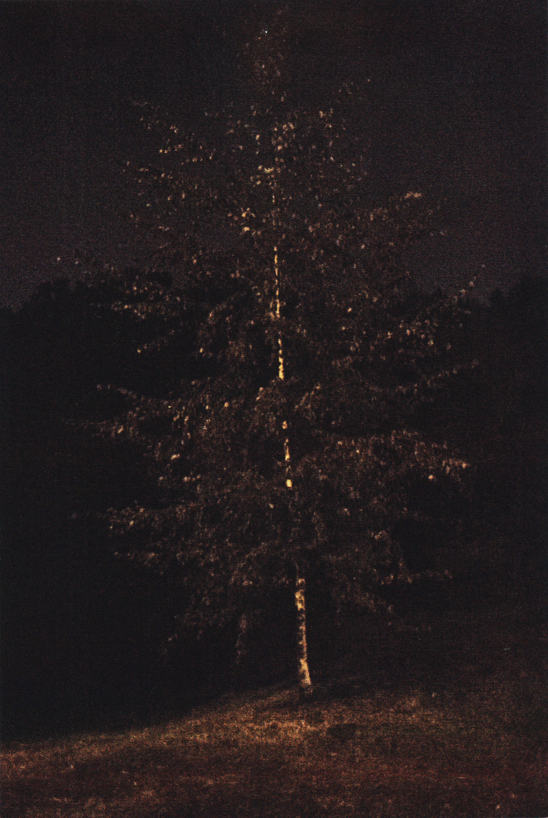 Де дихає тиша