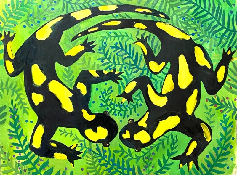 Саламандри