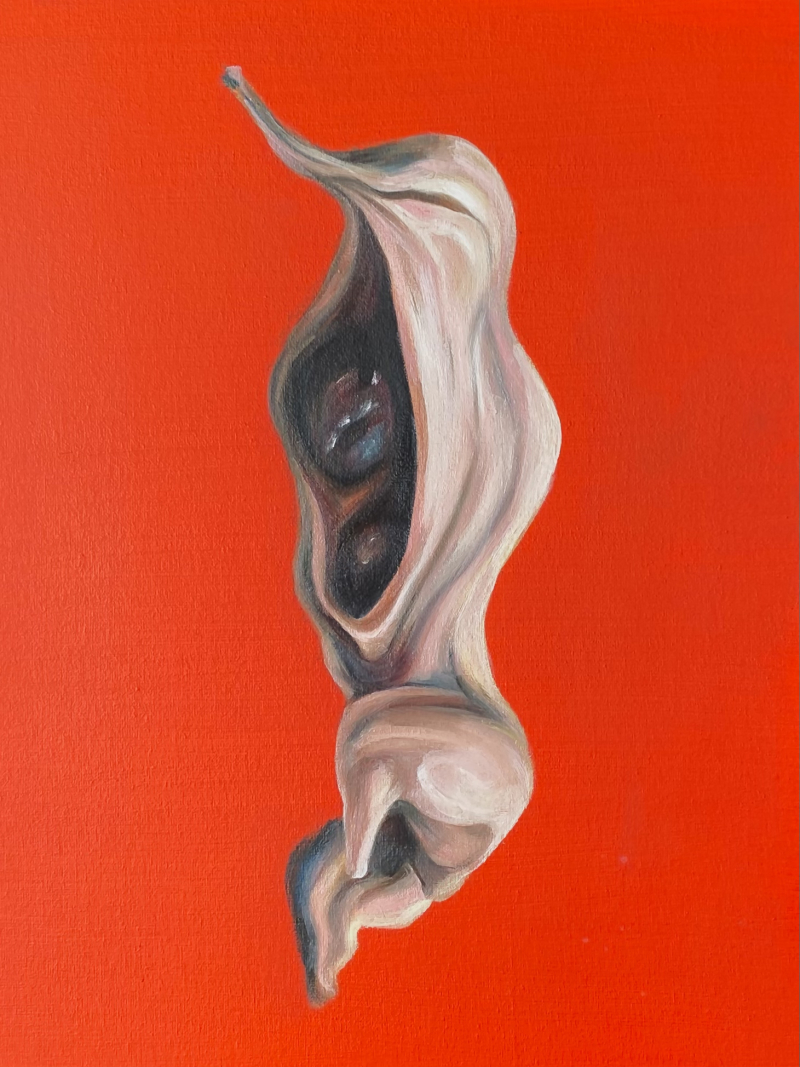 Rabbit gone fully delulu, dancing like a Kangaroo