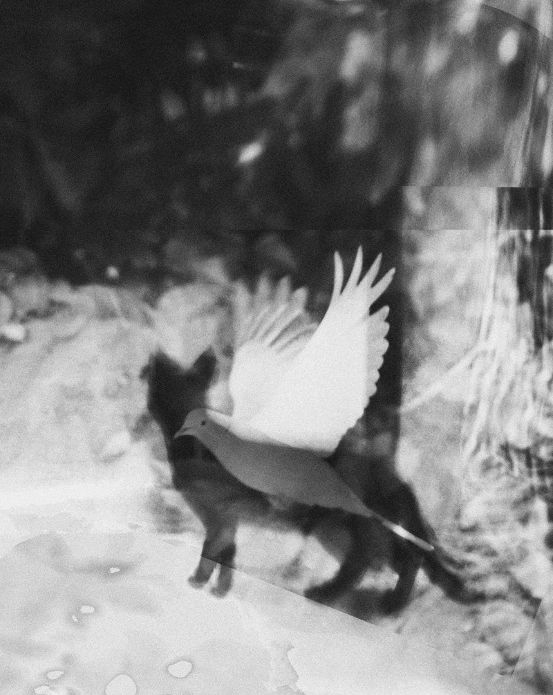 Немає сенсу сумувати через прощання