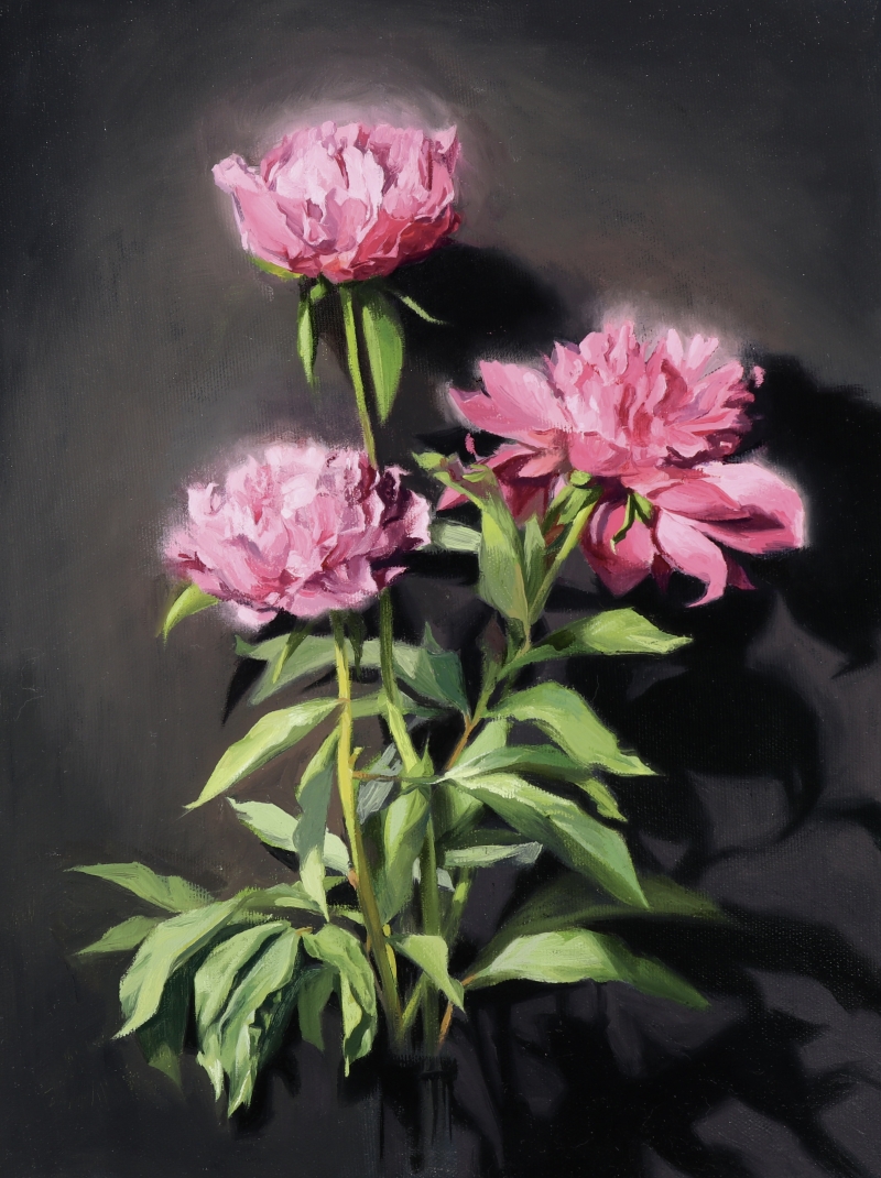 Peonies