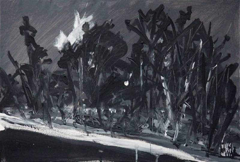 Краєвид №14