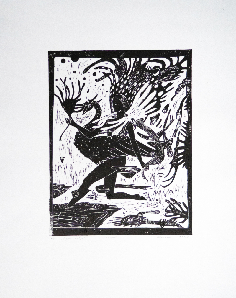 Чорний лебідь