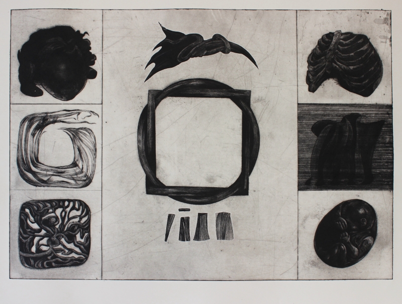 Екологічна амплітуда