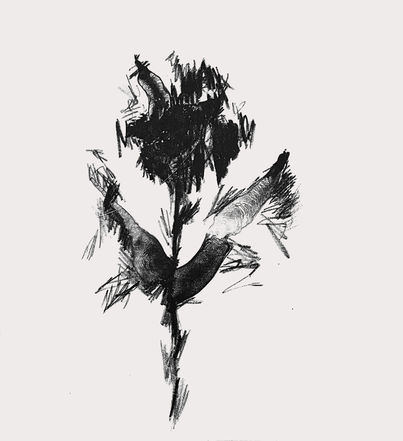 Sharp flower